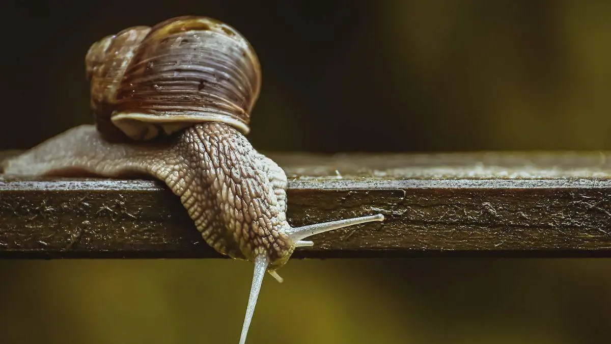 ¡SÍ, QUE SE LARGUE! (5)